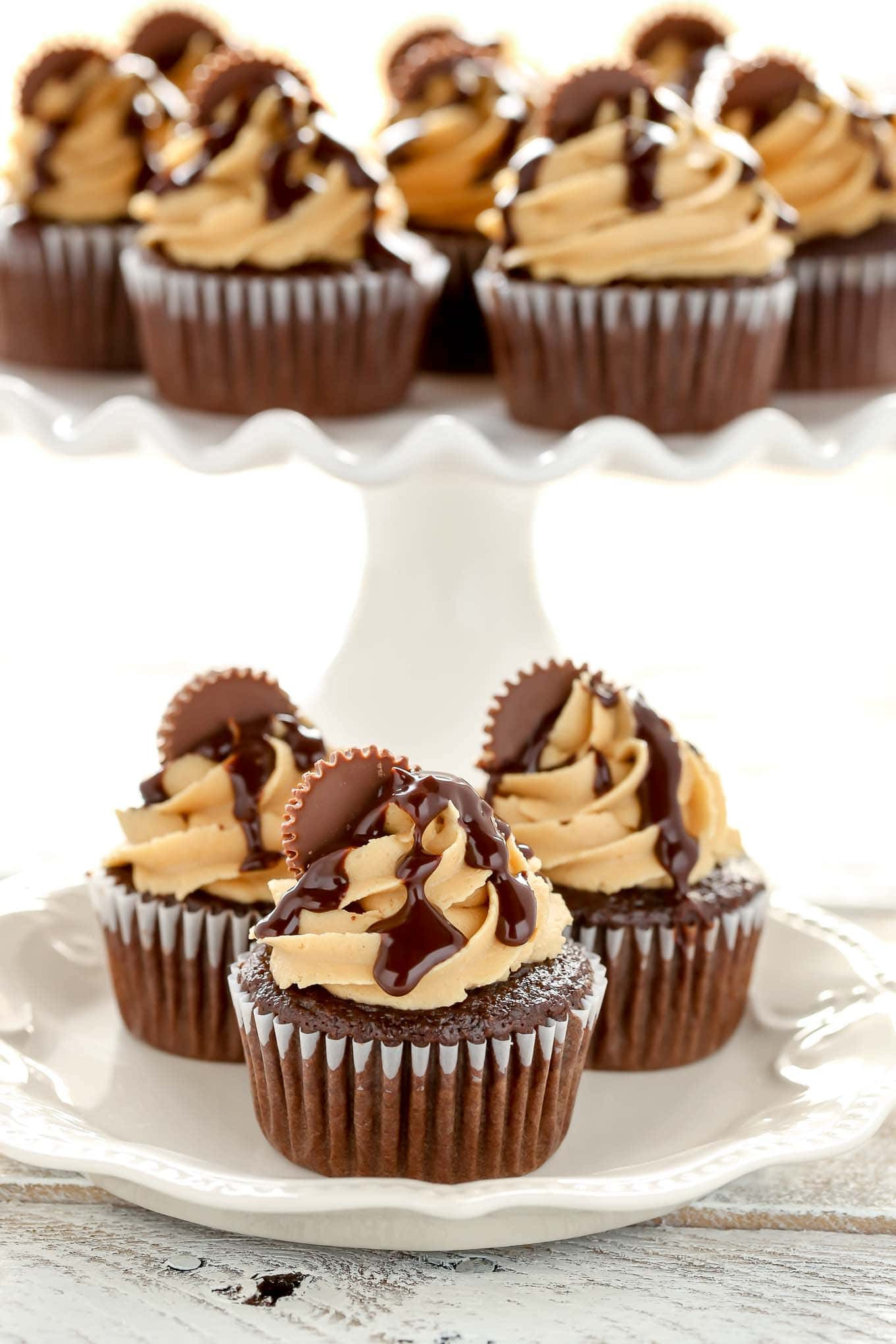 Chocolate Cupcakes With Peanut Butter Frosting
 Chocolate Cupcakes with Peanut Butter Frosting