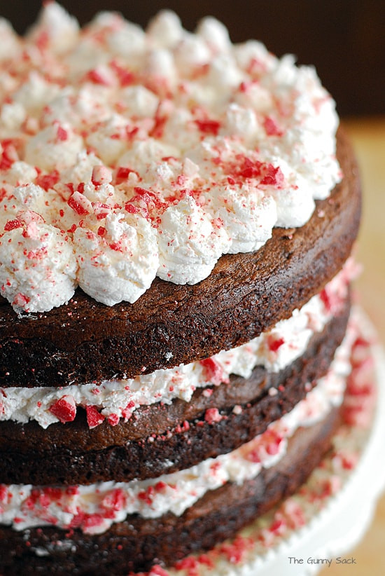 Chocolate Holiday Desserts
 Chocolate Peppermint Torte