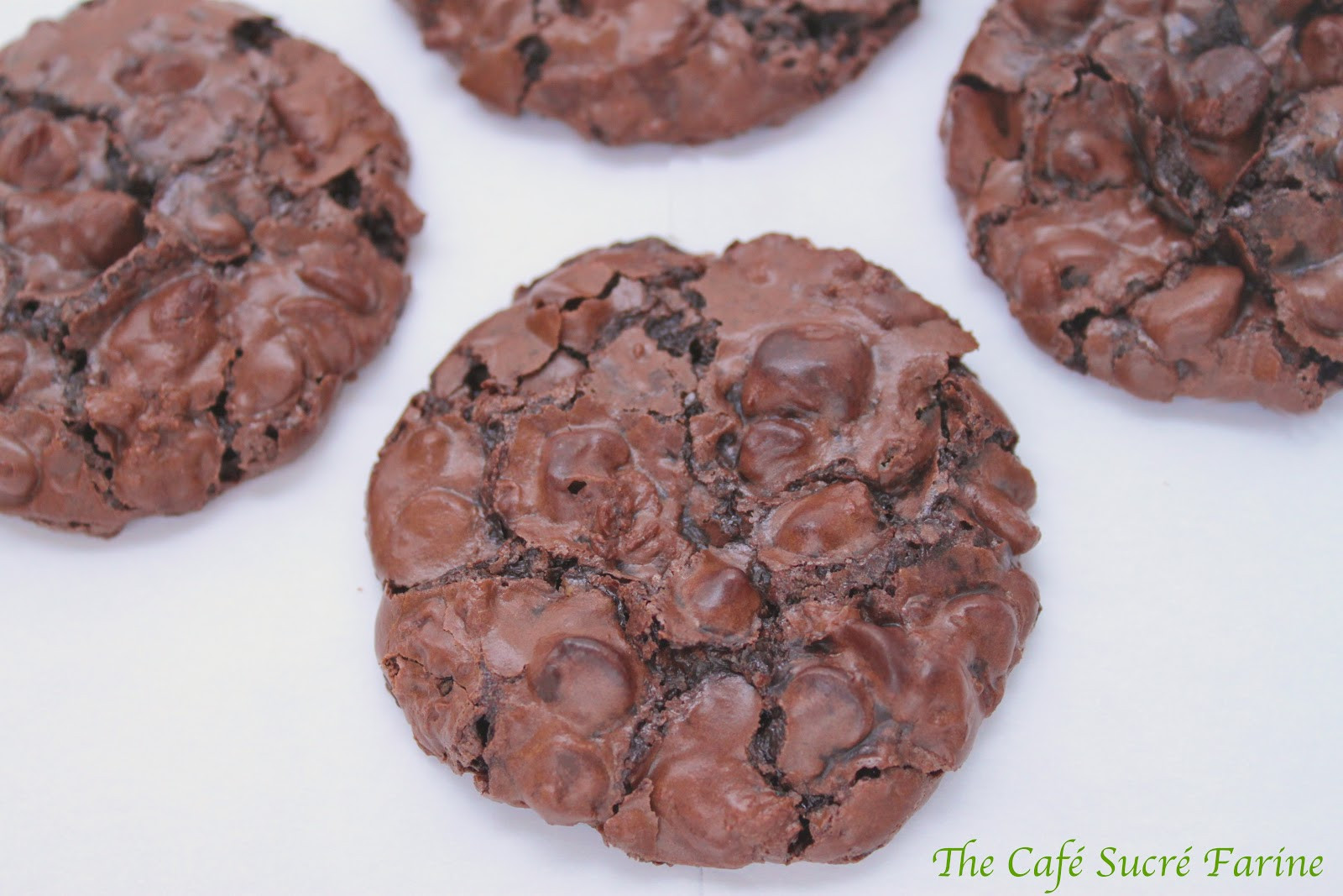 Chocolate Meringue Cookies
 Chocolate Chewy Meringue Cookies