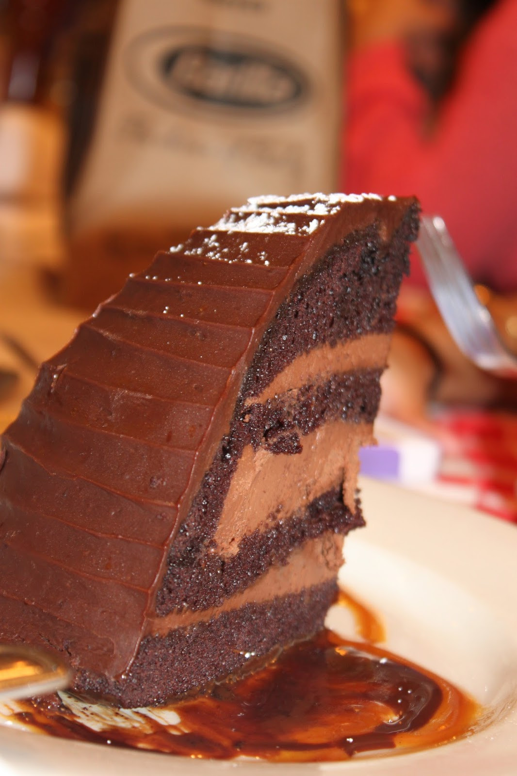 Chocolate Zuccotto Cake
 Tasty Runway