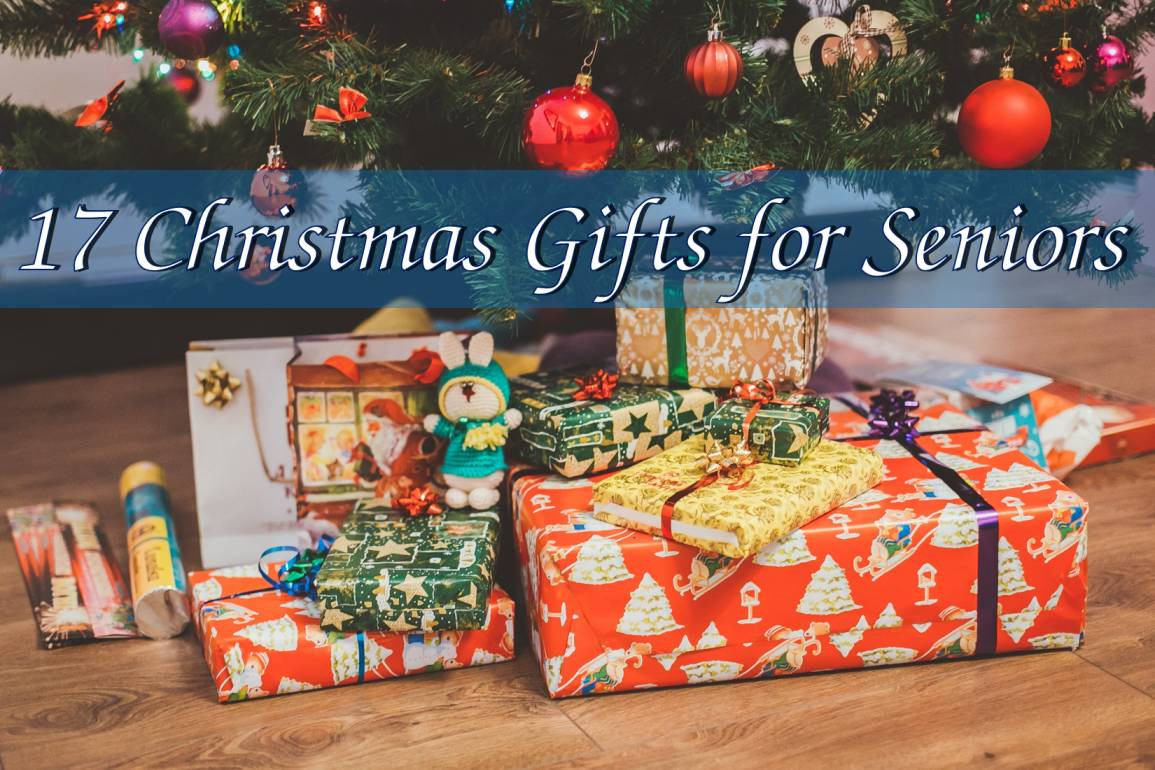 Christmas Gift Ideas For Elderly Parents
 Christmas Gifts for Seniors 17 Best Gift Ideas for