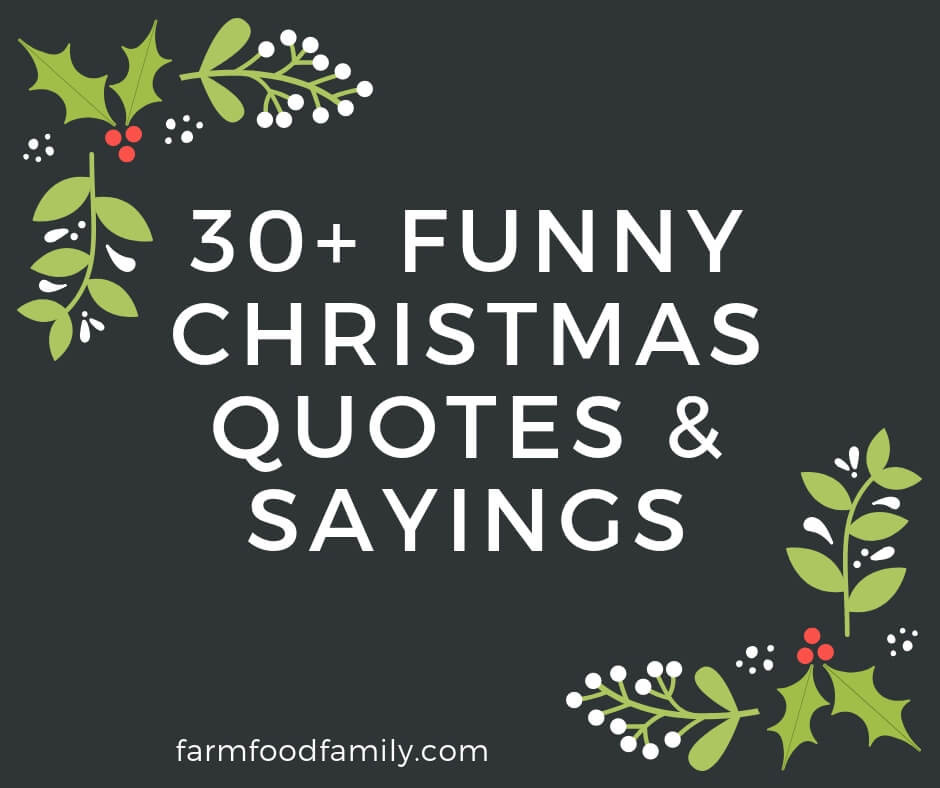 Christmas Sayings And Quotes
 30 Funny Christmas Quotes & Sayings That Make You Laugh