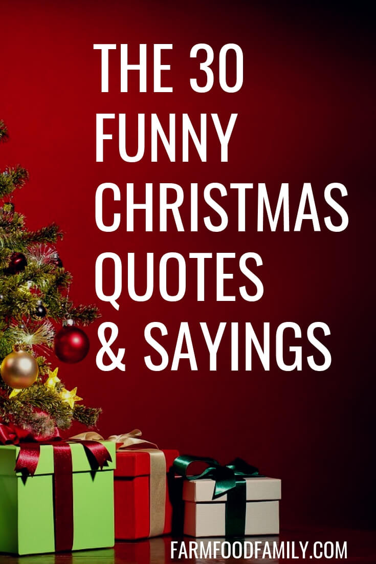 Christmas Sayings And Quotes
 30 Funny Christmas Quotes & Sayings That Make You Laugh
