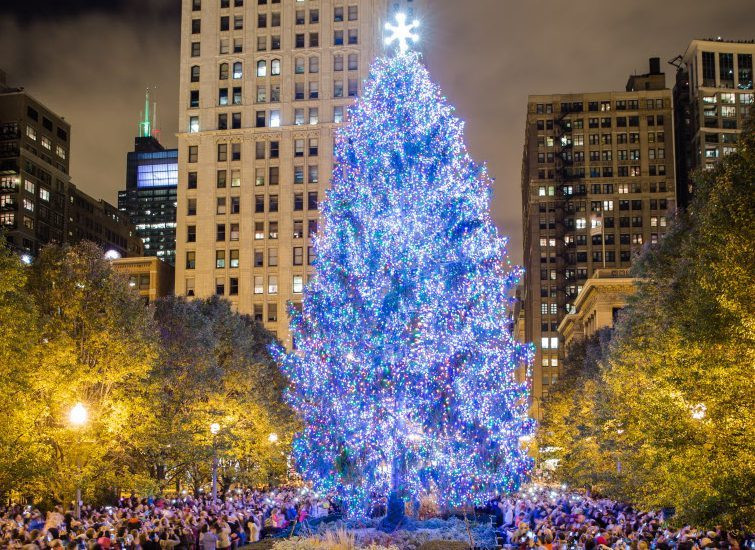 Christmas Tree Lighting Chicago 2020
 City of Chicago accepting nominations for official 2017