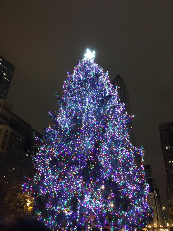 Christmas Tree Lighting Chicago 2020
 Chicago Picks ficial Christmas Tree For 2017
