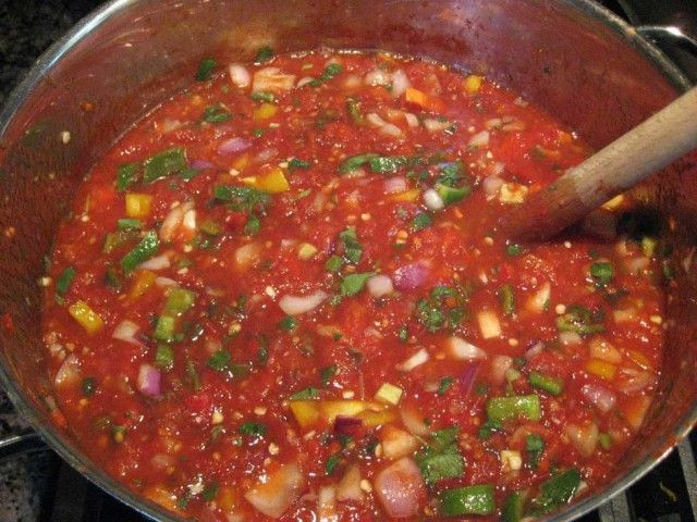 Chunky Salsa Recipe For Canning
 Thick and Chunky Homemade Salsa notes use canned