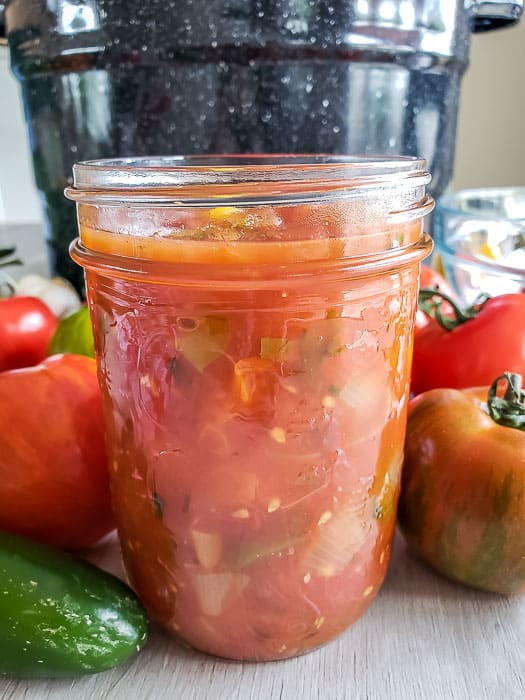Chunky Salsa Recipe For Canning
 Homemade Chunky Salsa Recipe for Canning That s Farm Fresh