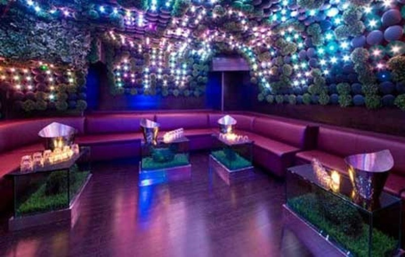 Club Decoration Ideas
 Interior Design Greenhouse Nightclub In 2010 New Years