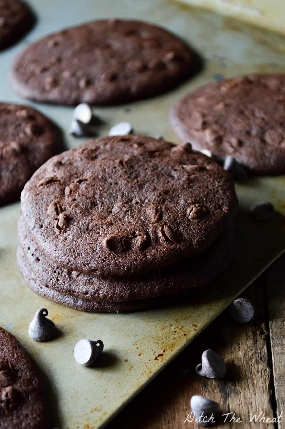 Coconut Flour Cookie Recipes
 Double Chocolate Chip Coconut Flour Cookies