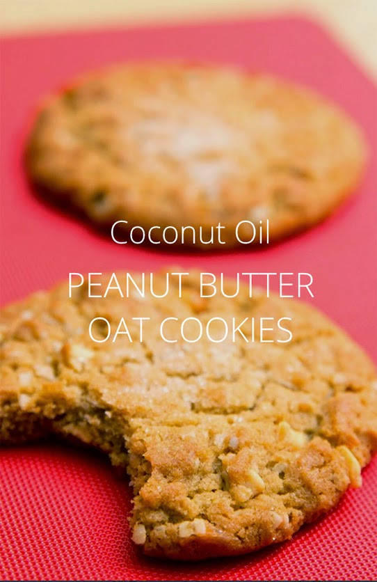 Coconut Oil Peanut Butter Cookies
 Bisque This Peanut Butter Coconut Oil Oat Cookies