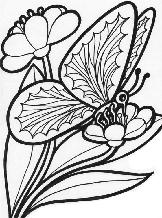 Coloring Pages For Kids Printable
 Kids Page Butterfly Coloring Pages
