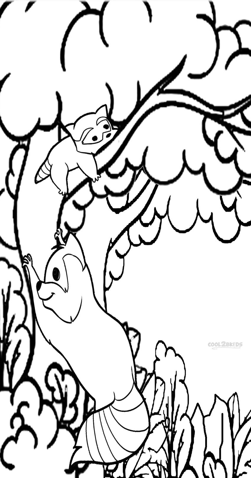Coloring Pages Free Printable
 Printable Raccoon Coloring Pages For Kids