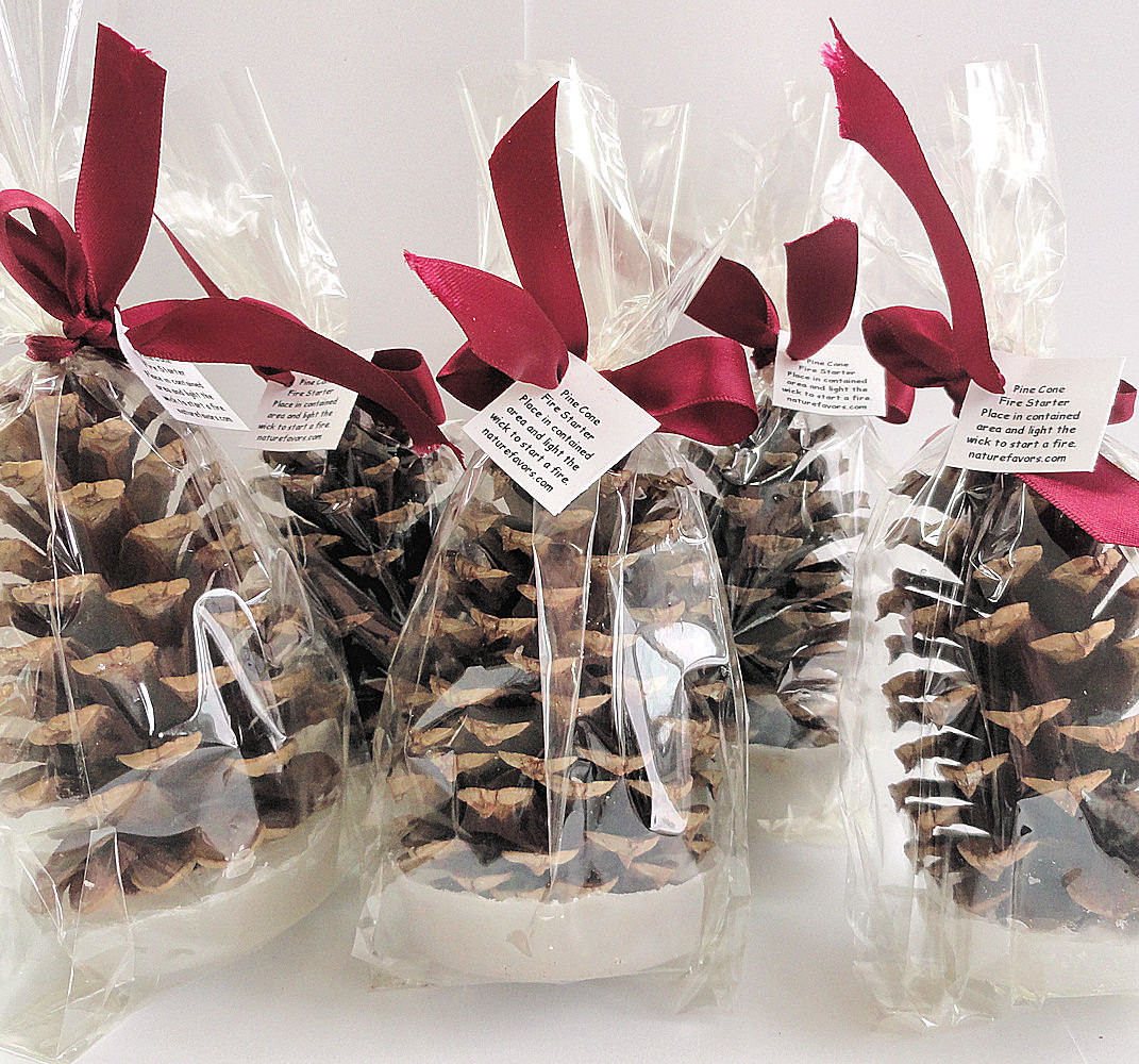 Company Holiday Party Gift Ideas
 25 Pine Cone Fire Starter Christmas Party Favors Holiday