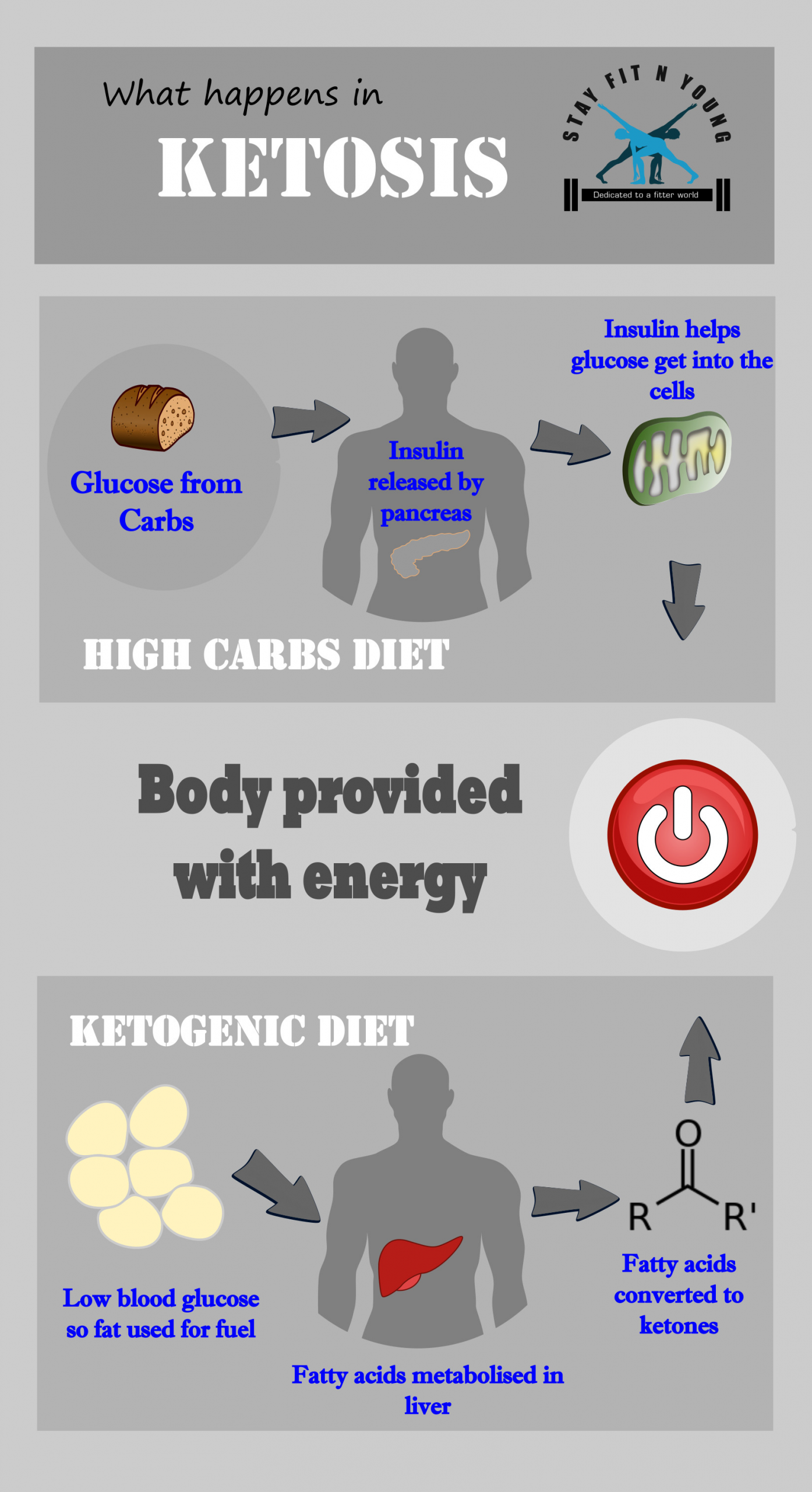 Cons Of Keto Diet
 Pros and Cons of a Ketogenic Diet that you should know about