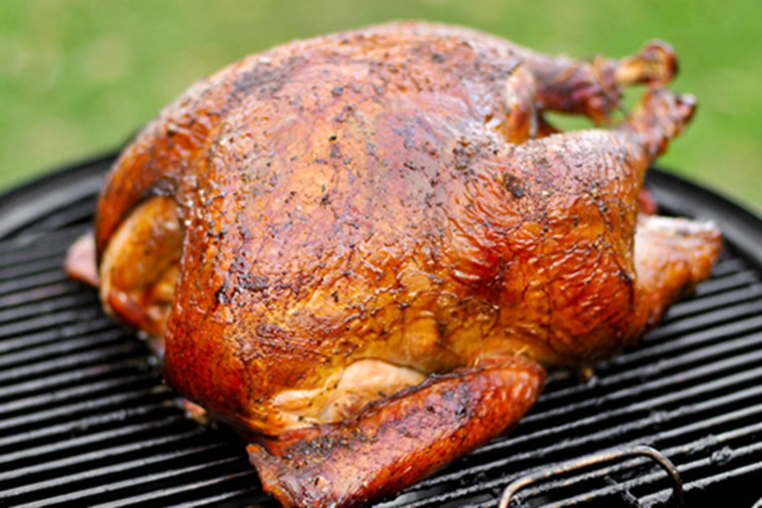 Cooked Thanksgiving Turkey
 How to Cook a Thanksgiving Turkey Without an Oven