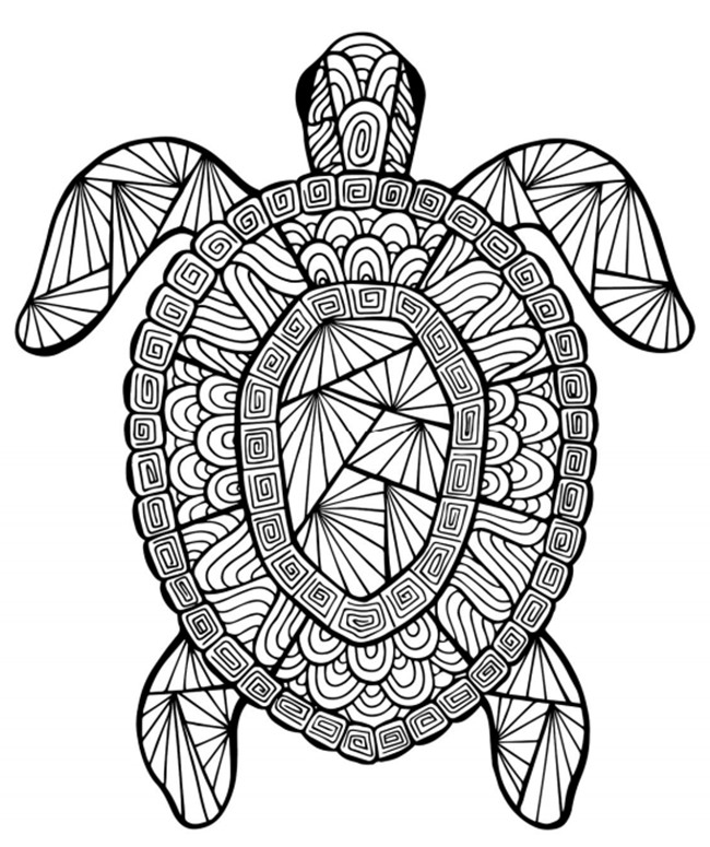 Cool Coloring Pages For Kids
 18 fun free printable summer coloring pages for kids