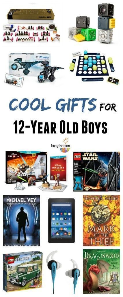 Cool Gift Ideas For 12 Year Old Boys
 Gifts for 12 Year Old Boys