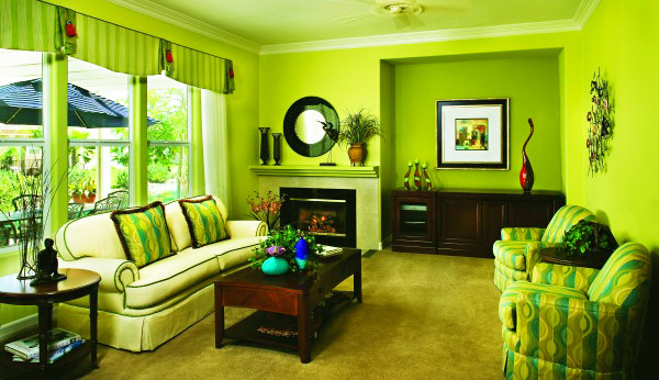 Cool Living Room Colors
 Cool Color Scheme Theory for Home Decoration