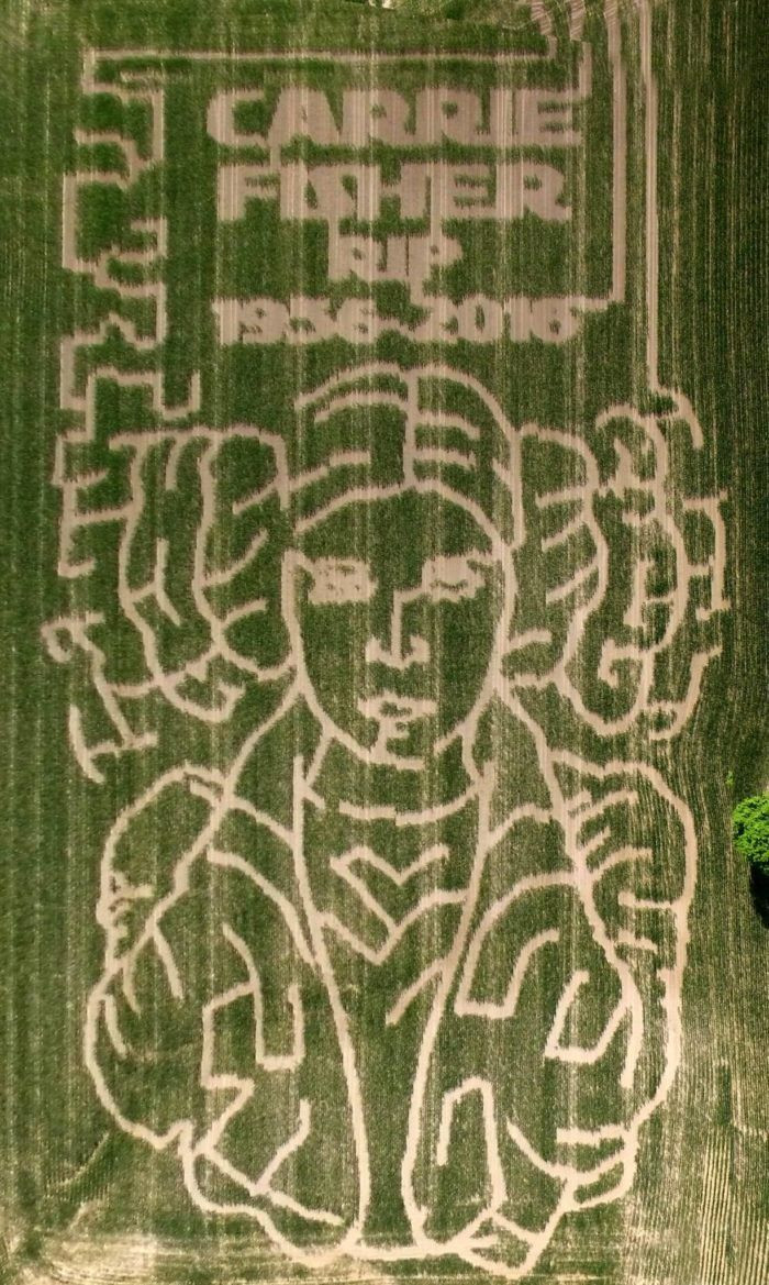 Corn Maze Indiana
 This Indiana Corn Maze May Be The Most Unique in the