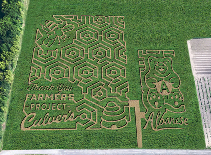 Corn Maze Indiana
 Stranger Things Sports & a Beer Fest Where is Indiana s