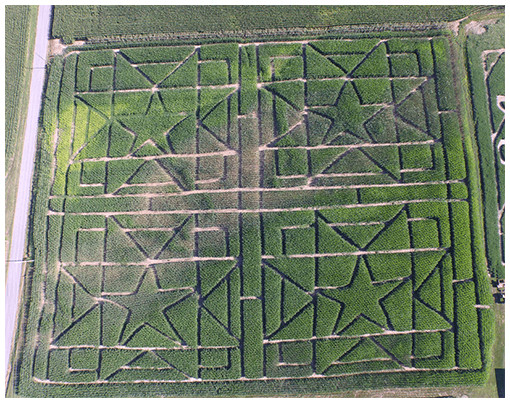 Corn Maze Indiana
 11 Awesome Corn Mazes In Indiana You Have To Do This Fall