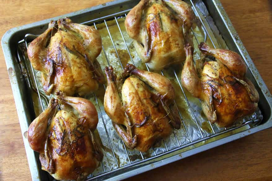 Cornish Game Hens Recipes
 Roasted Cornish Game Hens with Garlic Herbs and Lemon
