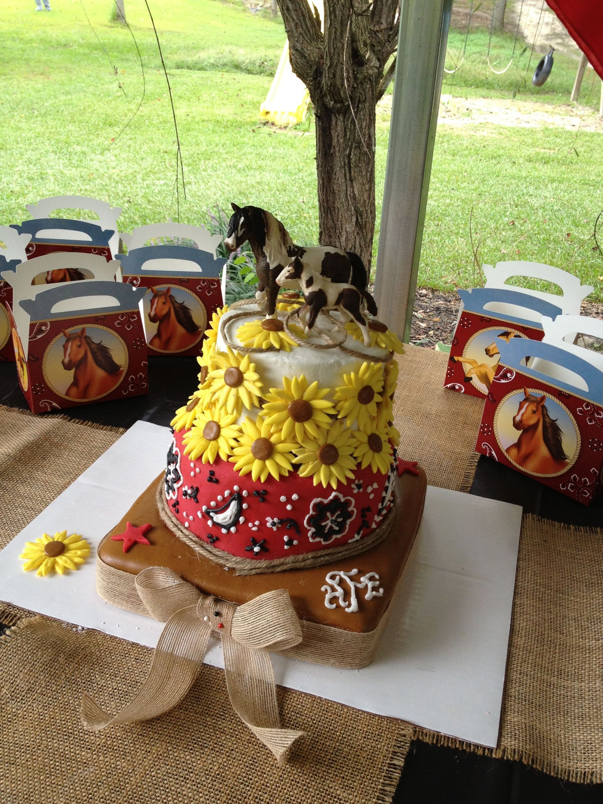 Country Birthday Cakes
 Sunflower country horse birthday cake