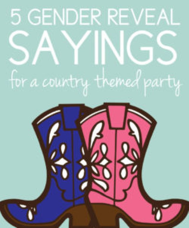 Country Gender Reveal Party Ideas
 5 Gender Reveal Sayings for a Rustic Country Themed Party