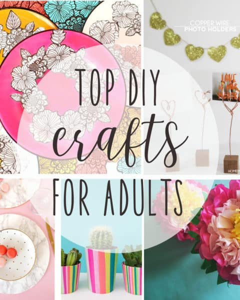 Craft Ideas For Adults
 Crafts for Adults DIY Craft Ideas for Adults