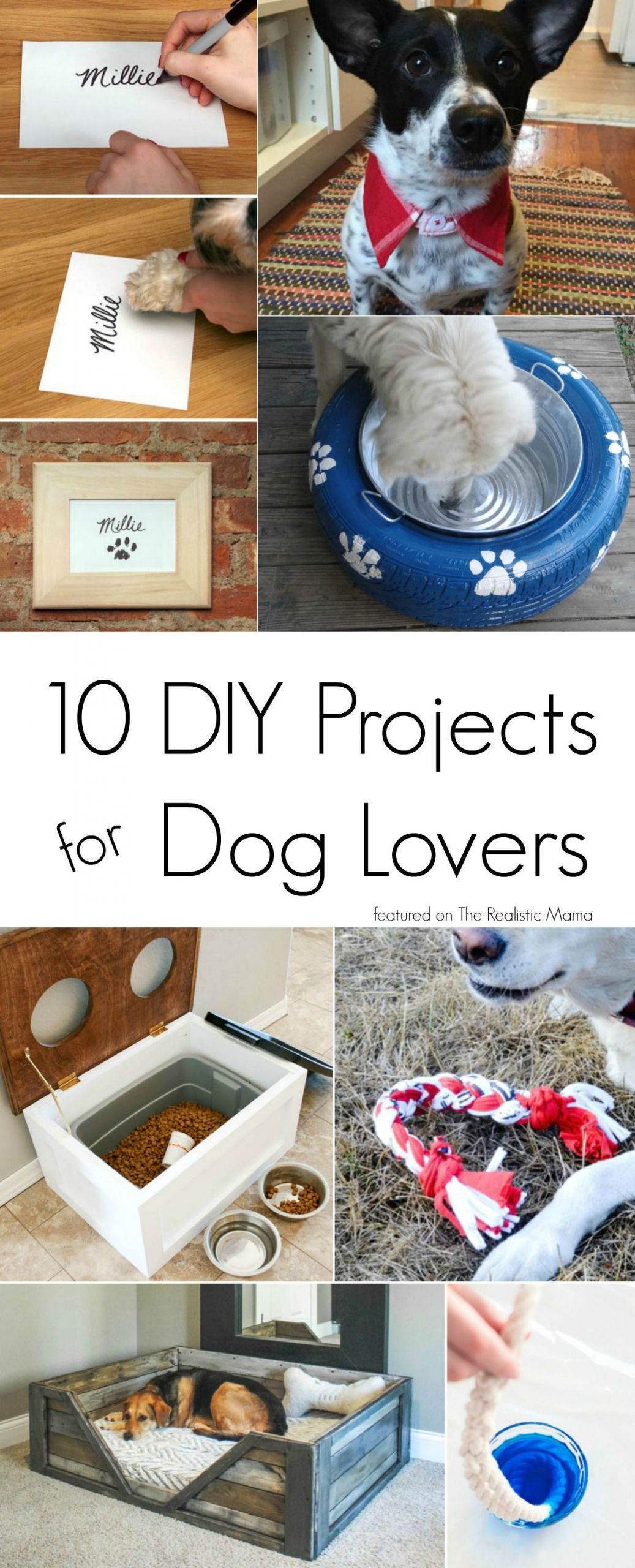 Craft Ideas For Dog Lovers
 10 DIY Projects for Dog Lovers