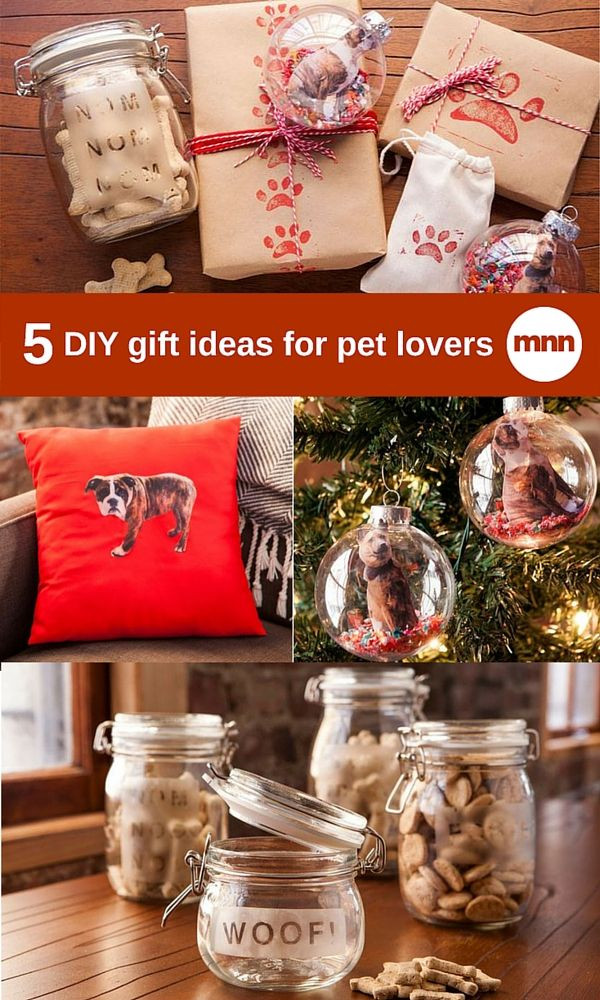 Craft Ideas For Dog Lovers
 5 DIY t ideas for pet lovers