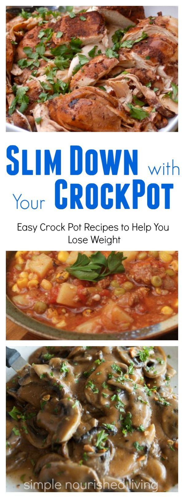 Crockpot Low Calorie Recipes
 Easy Healthy Low Calorie Slow Cooker Recipes with