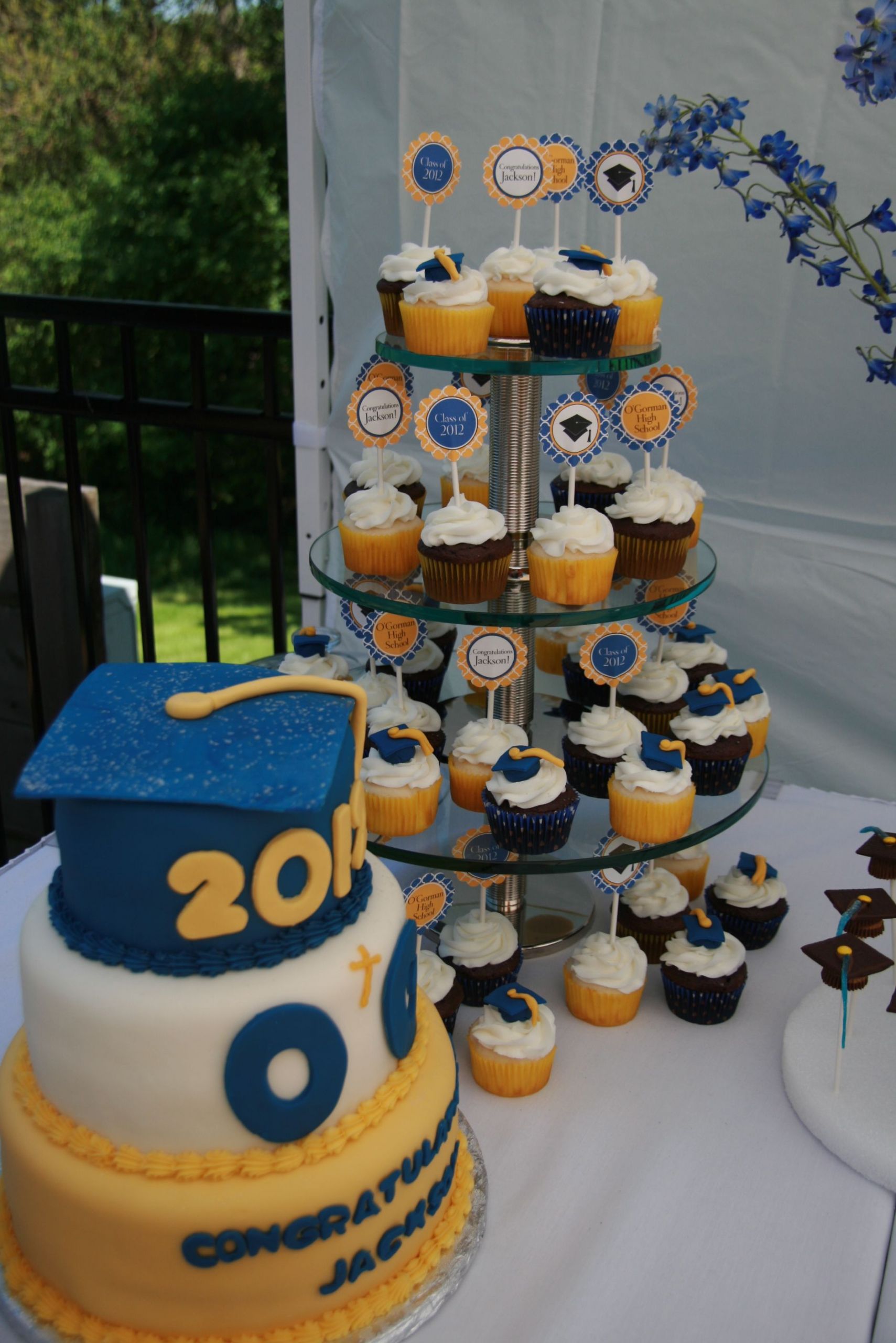 Cupcake Decorating Ideas Graduation Party
 Graduation Cupcakes