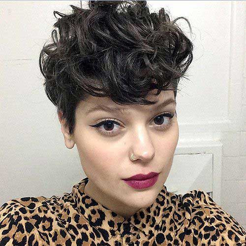Curly Pixie Haircuts
 15 Lovely New Curly Pixie Hairstyles crazyforus