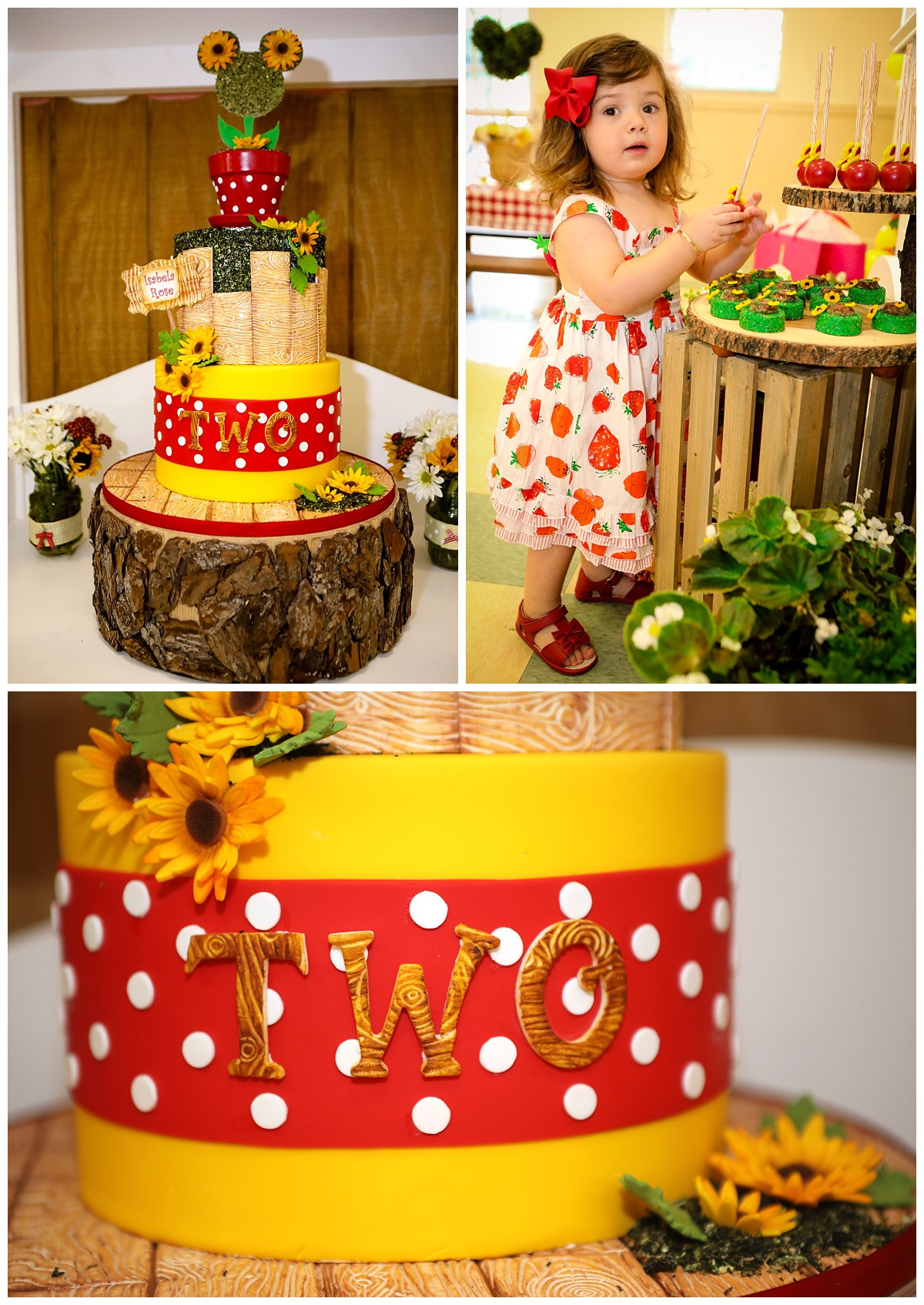 Customized Birthday Cakes
 Isabela s 2nd Birthday Cake