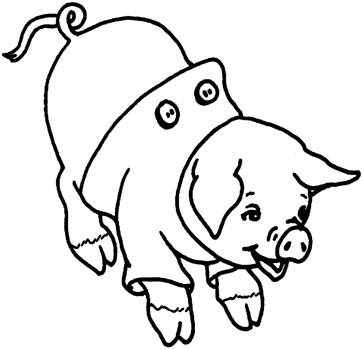 Cute Baby Pig Coloring Pages
 Free Printable Pig Coloring Pages For Kids