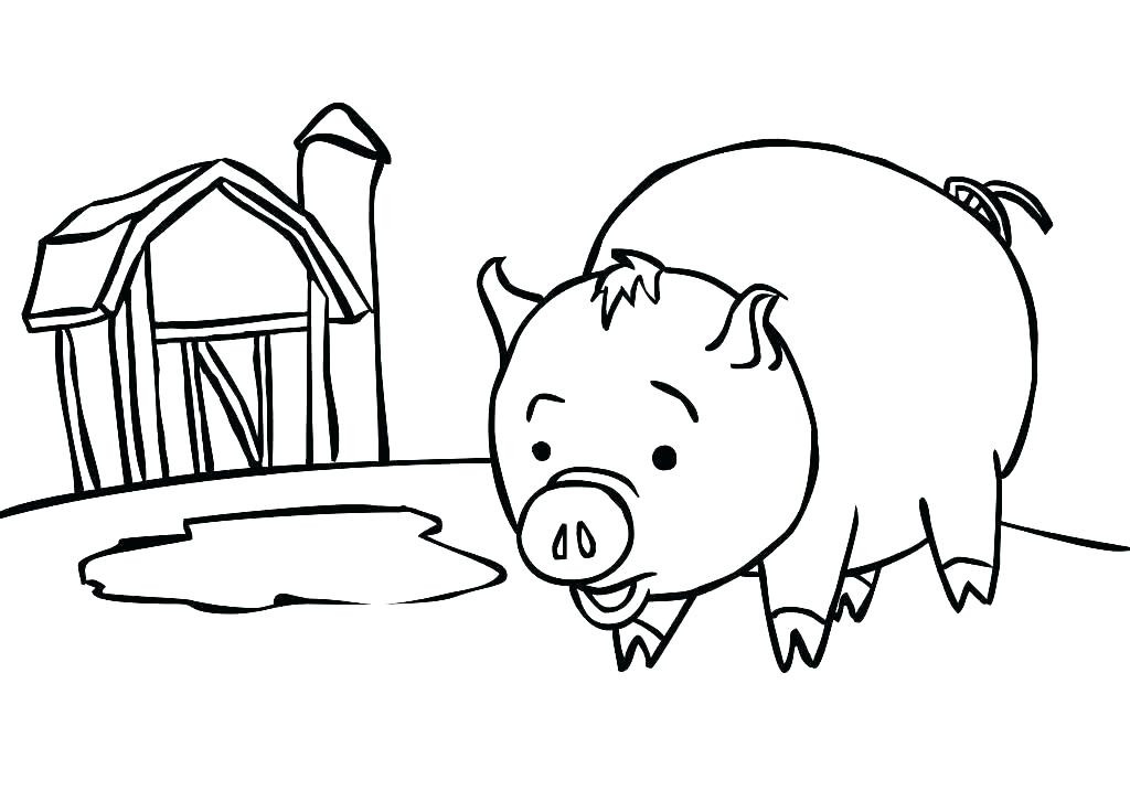 Cute Baby Pig Coloring Pages
 Guinea Pig Coloring Pages at GetColorings