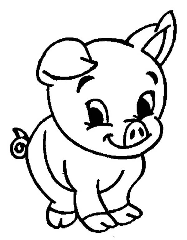 Cute Baby Pig Coloring Pages
 Adorable Baby Pig Coloring Page