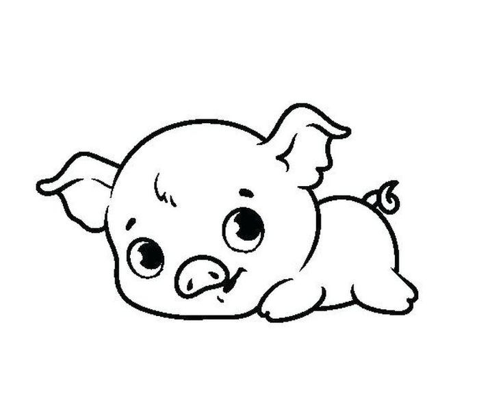 Cute Baby Pig Coloring Pages
 Cute Pig Coloring Pages Ideas Huge Collection