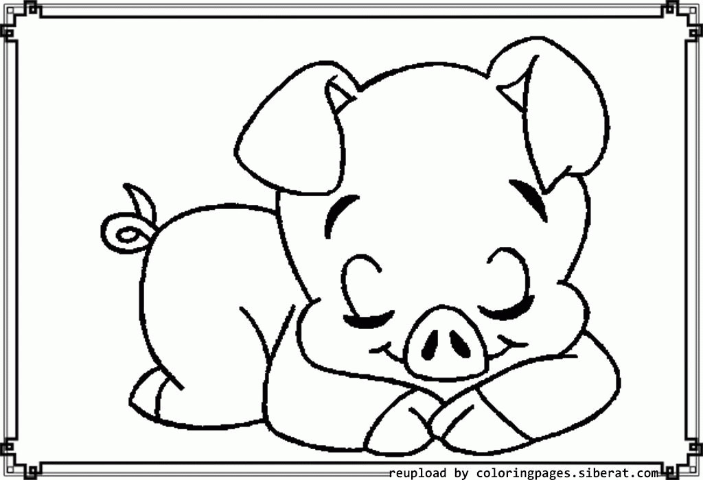 Cute Baby Pig Coloring Pages
 Coloring Page Pigs Coloring Home