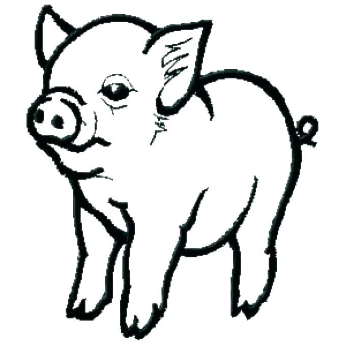 Cute Baby Pig Coloring Pages
 Cute Baby Pig Coloring Pages at GetColorings