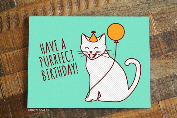 Cute Birthday Cards
 Cute Birthday Card Purrfect Birthday Cat