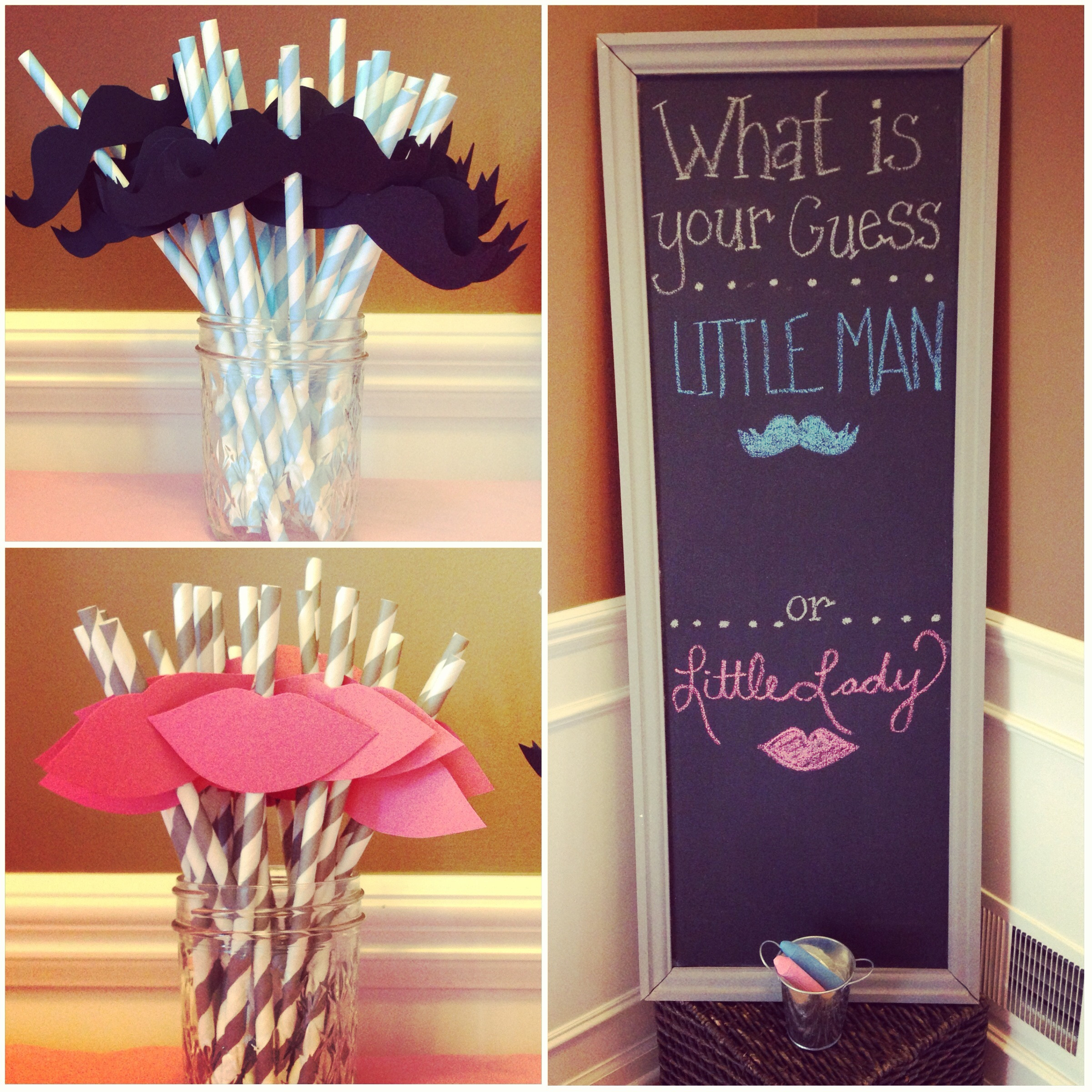 Cute Gender Reveal Party Ideas
 beau or bow