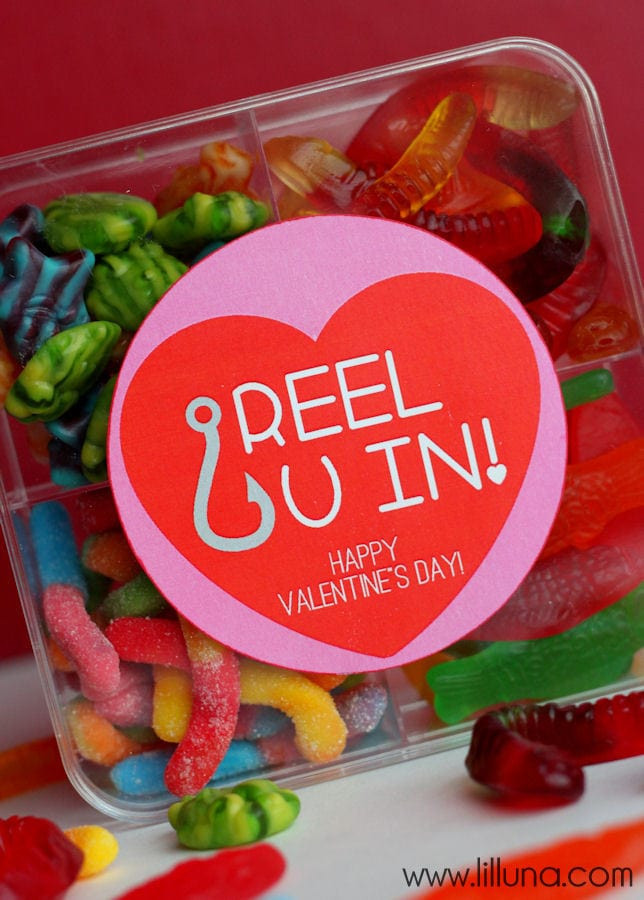 Cute Valentine Gift Ideas
 Reel U In Valentines Gift