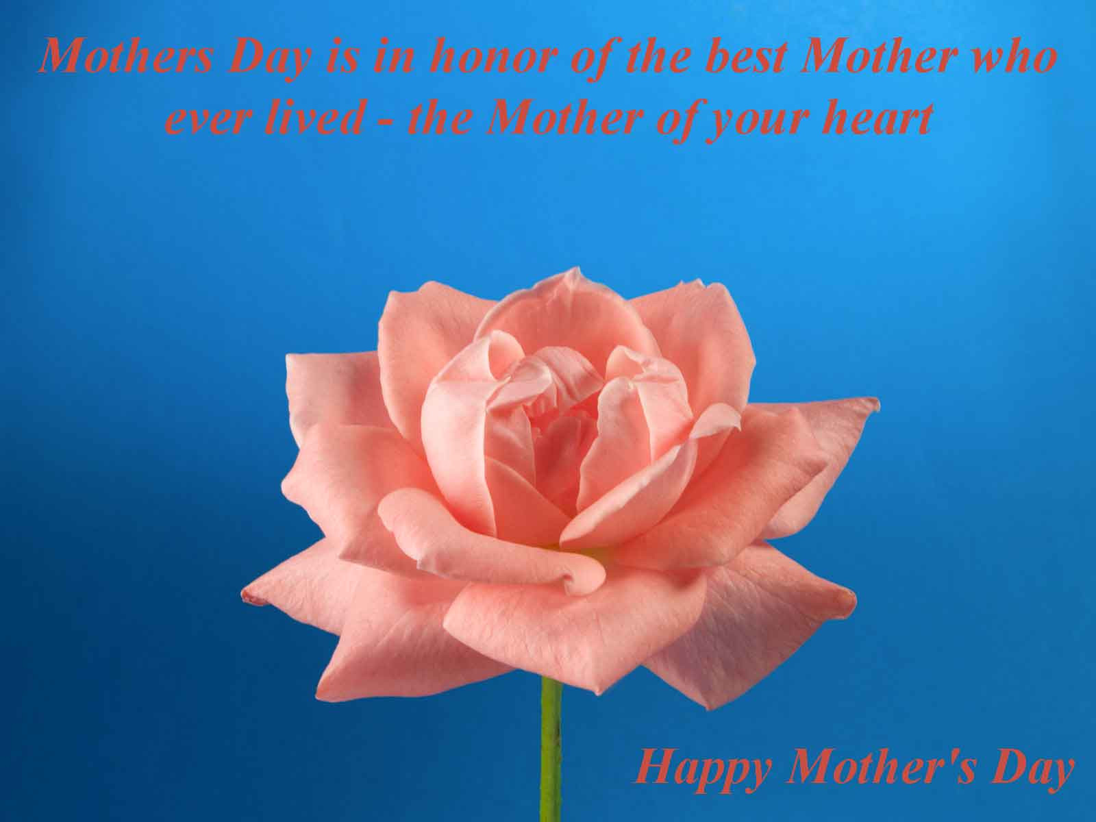 Dead Mother Quotes
 Quotes To Honor Deceased Mothers QuotesGram