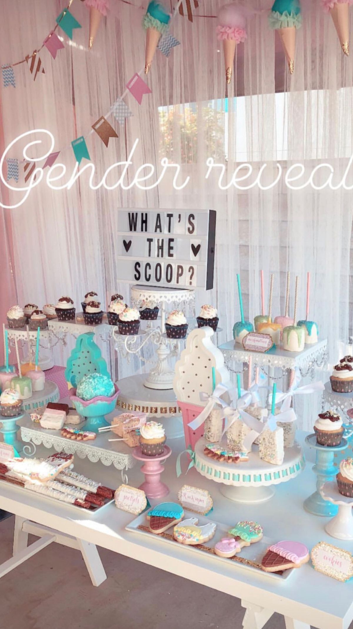Decoration Ideas For Gender Reveal Party
 Pin by Alexis Johnson on Reveal gender party