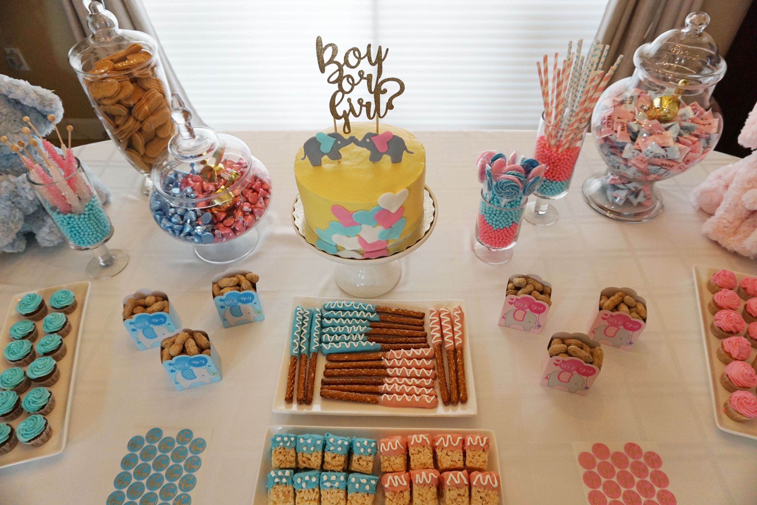 Decorations For Baby Reveal Party
 Baby s Gender Reveal Party gen y girl