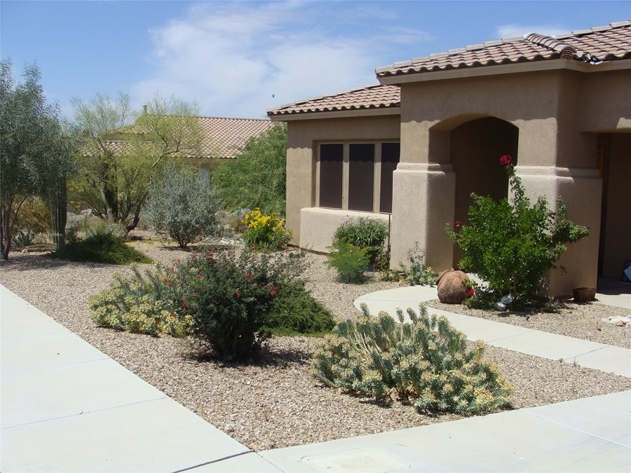 desert landscape for front yard
