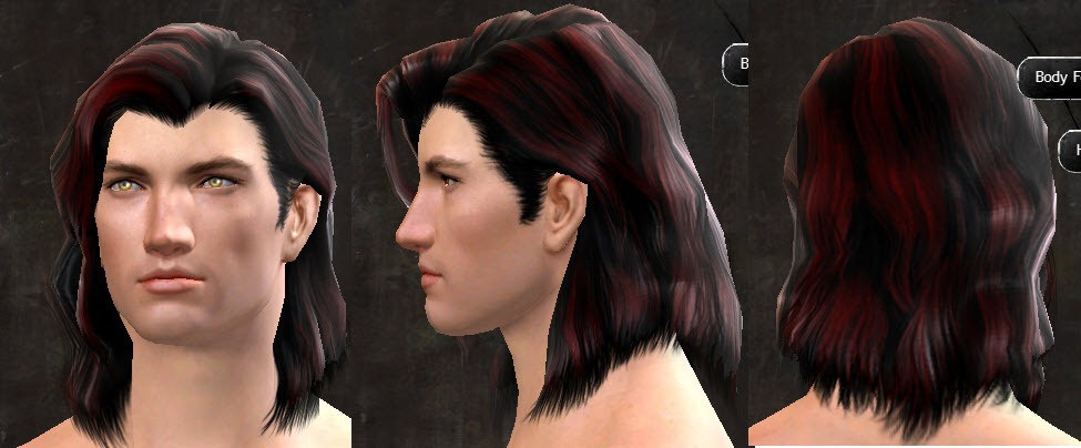 Destiny Human Female Hairstyles From Behind
 GW2 New Hairstyles July 26 Update Dulfy