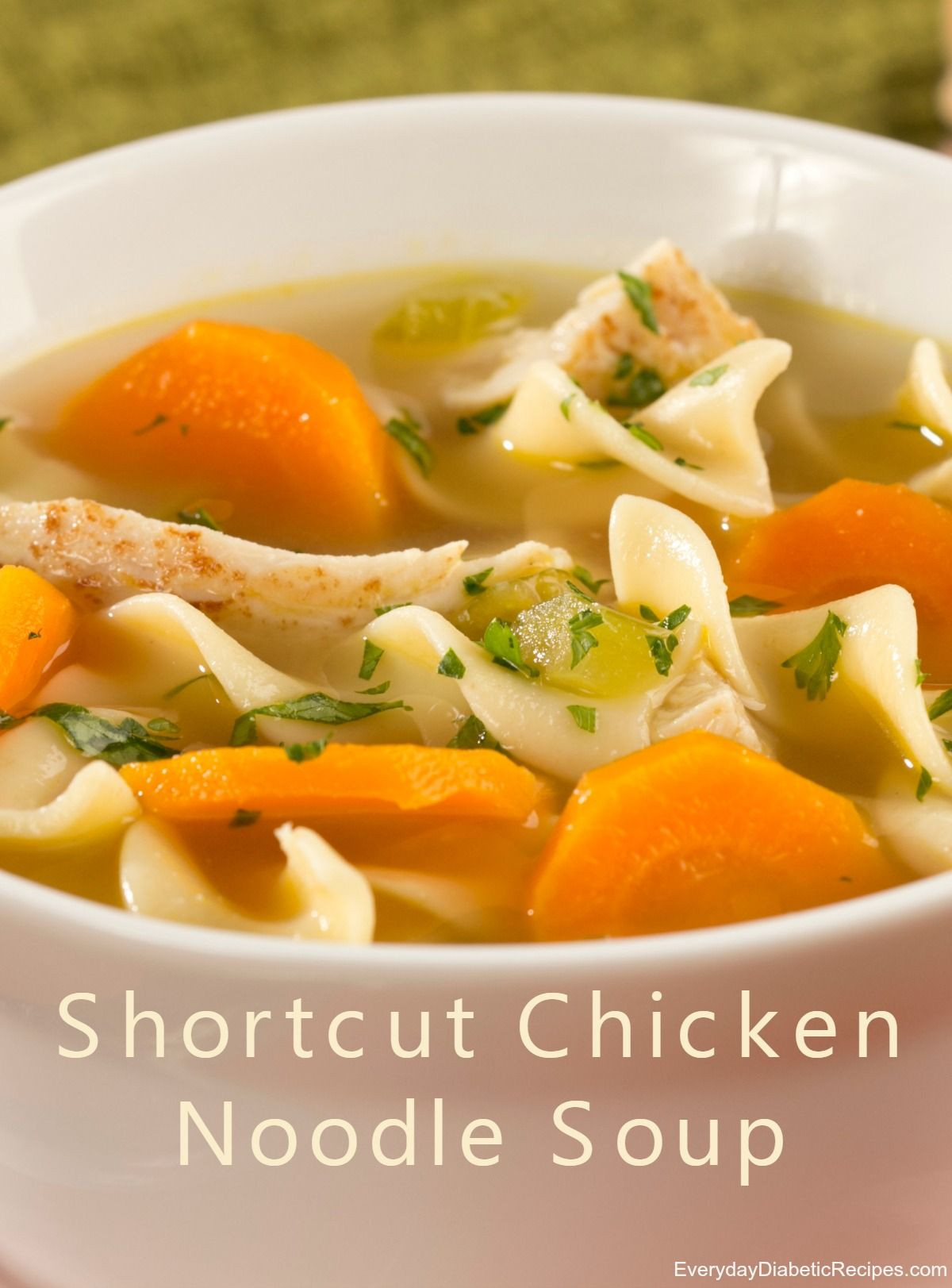 Diabetic Soup Recipes
 Shortcut Chicken Noodle Soup Recipe
